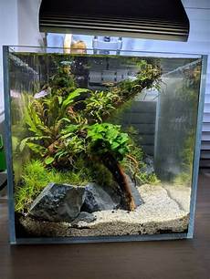Fresh Water Expansion Tank