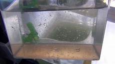 Fresh Water Expansion Tank